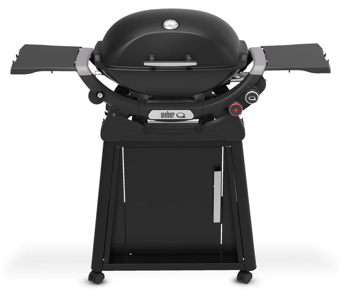 Weber Q2800N Gas Grill with Stand