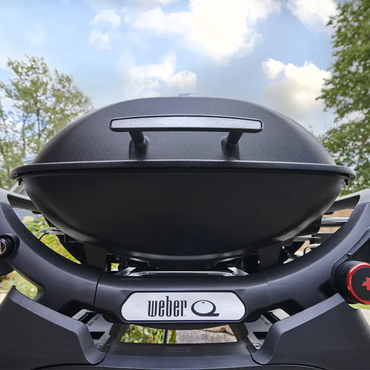 Weber Q 2800N+