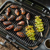 WEBER TRAVELER® COMPACT Portable Gas Grill